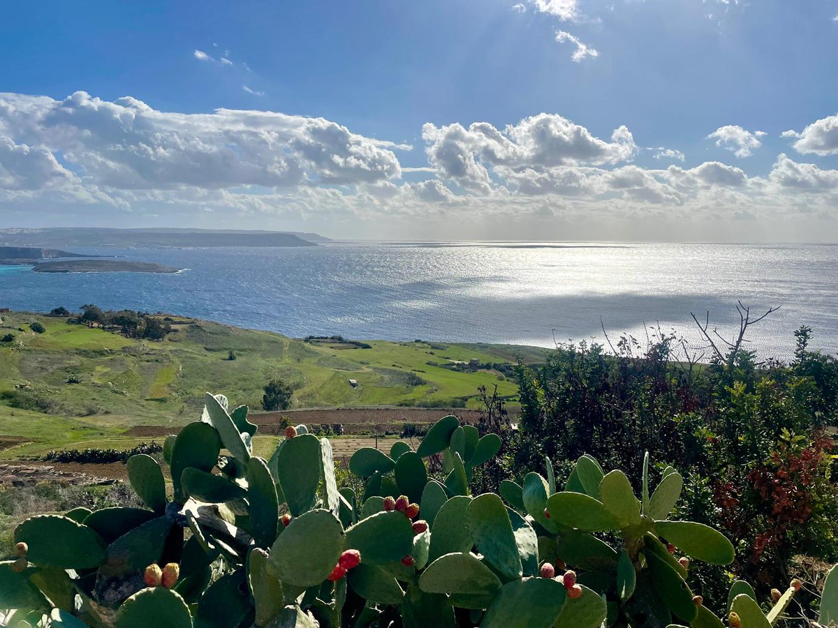 Gozo, what a magical place.