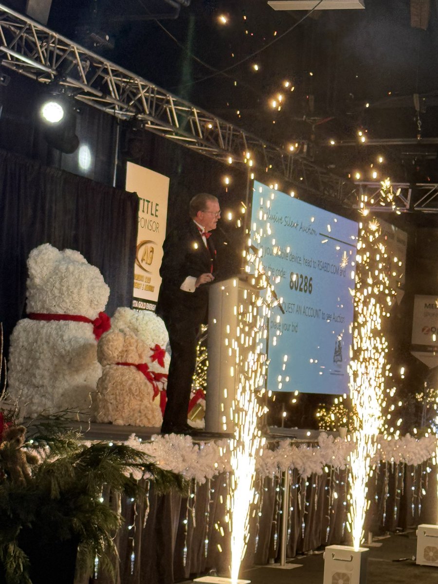 🎄✨ Christmas charity auction season is in full swing! We’re honored to have been part of your incredible community efforts, raising funds for amazing causes. With your support, over $300K has been raised! Thank you for trusting Radcliffe Auctioneering to help make a difference.