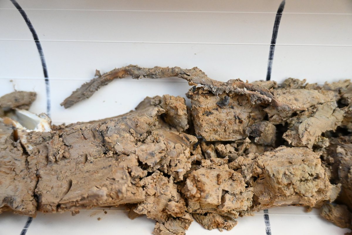 Christine Le Bas tweet media