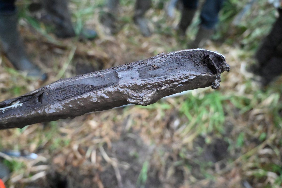 Après ma participation hier au webinaire sur l'accès aux données sols, aujourd'hui visite du marais des Communaux en Normandie dans le cadre de la #JMS2024 organisée par <a href="/afes_fr/">AFES</a> 
Le thème de la visite : les zones humides et leurs #sols si particuliers.