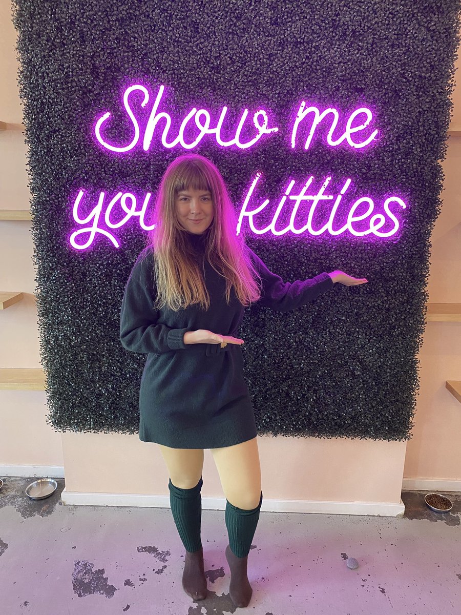 TypicalUnicorns's tweet photo. Show me your kitties 💕
Neko Cat Cafe is the cat’s meow. I’ve visited the Capitol Hill location but this is my first time visiting the cafe in Bellingham. Neko has a cozy atmosphere with plenty of lovable kitties to meet. https://t.co/nkKzGv5R9c
