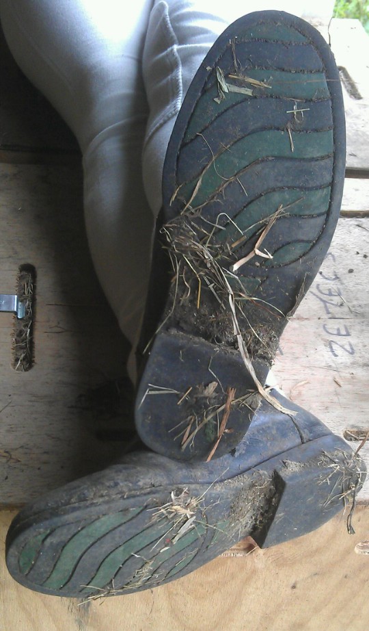 milly_mollyj's tweet photo. Can you imagine kneeling in front of me at the stables, and taking off all the straw from my boots, then me saying now….EAT IT, and you having to do exactly what  I tell you, just for my amusement, I would LOVE the power and you would, thank my for the honour. https://t.co/OFdbFZ9x3I