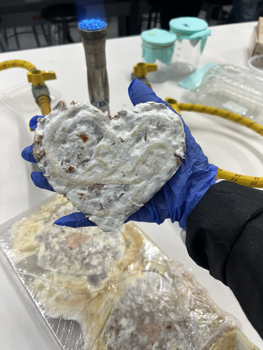 parg_arte's tweet image. Resultados de mi exploración con micelio y tejido 🤍🍄‍🟫

Esperar que siga creciendo para secar.

#biomateriales #micelio #biodiseño