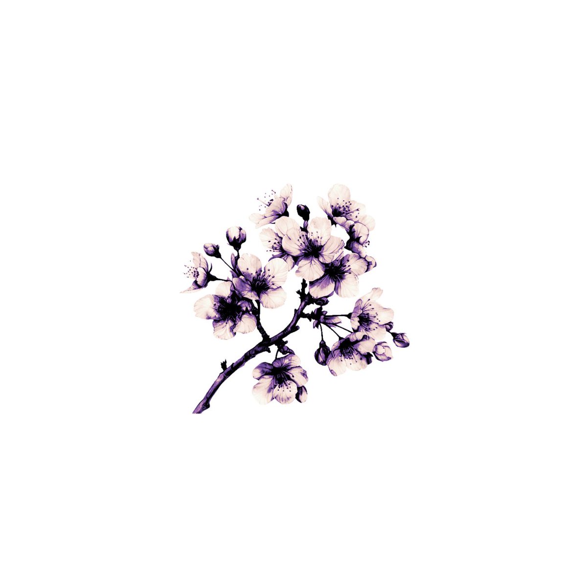 polyaround's tweet image. ⠀⠀ #promotwt　　ྀི◟　　day 13　👚

꒰͡†  𓉸⠀⠀☂️⠀⠀kiana ⠀ ╱ ⠀ any prns
𝜗𝜚 ⠀ ⠀#pjsktwt #hi3twt #d4djtwt ⠀ ⠀ 𓏵 ⠀ ⠀ #alnsttwt #nsotwt #knytwt 
૮ ꒰ིྀ ♡‸◟꒱ིྀ ა  ⠀❛　　⑅    semi activeㅤ𓈒ㅤinteractive

♪　🥛　♡ /  ↻ 2b moots/spread　꒱　୨୧