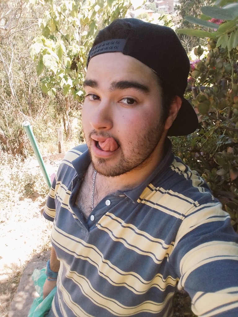 calientevalpo__'s tweet photo. acabo de terminar el jardineo y quede pero caliente con el sol que hay ganas de una chupa de teta o de pico 🥵🥵🔥🙈

#calor #contenido #xxx #caliente #morbo #valpogay #viñagay #bisexual https://t.co/8T2Y9AOmha
