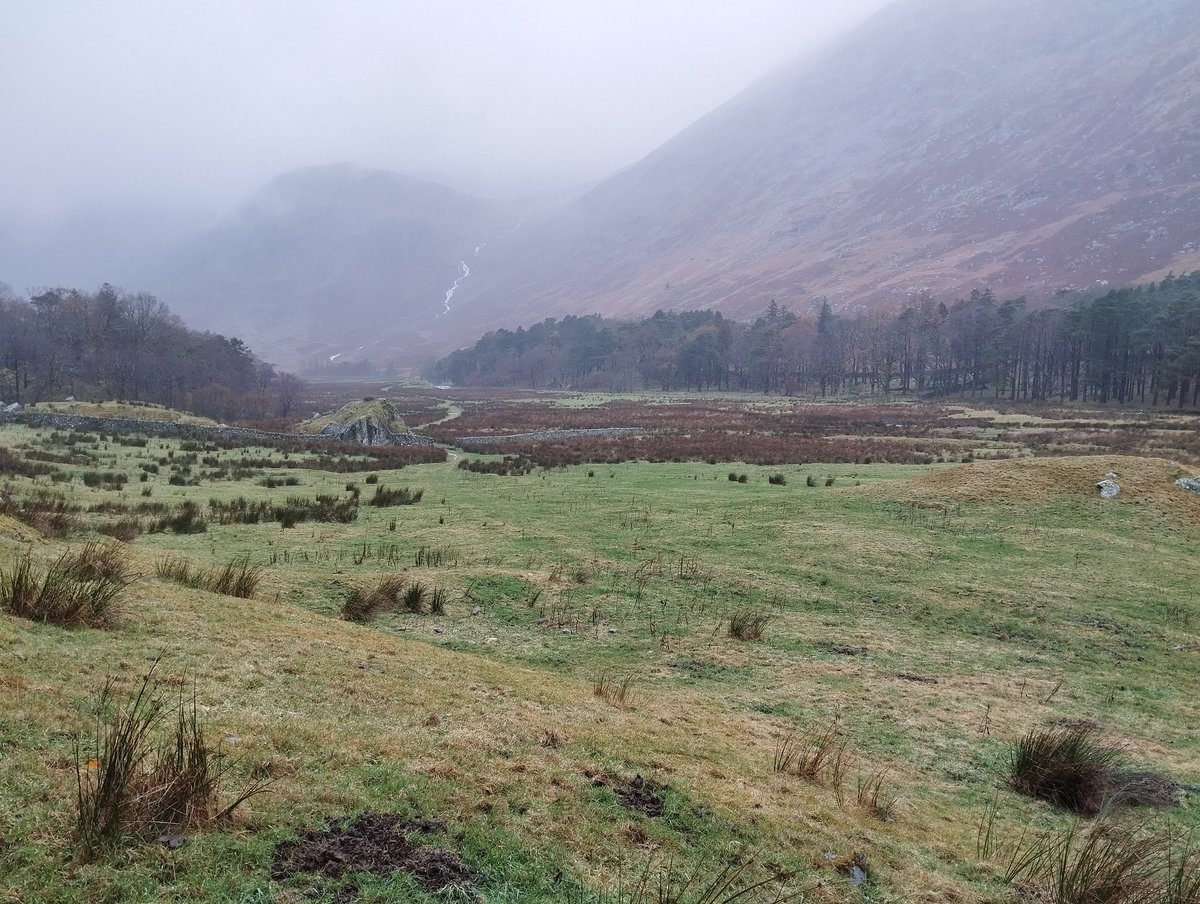 will magee tweet media