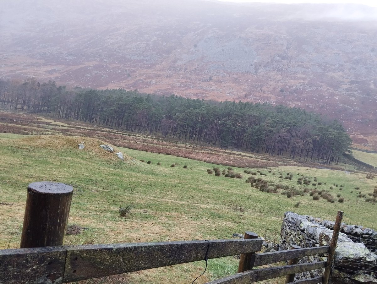 will magee tweet media