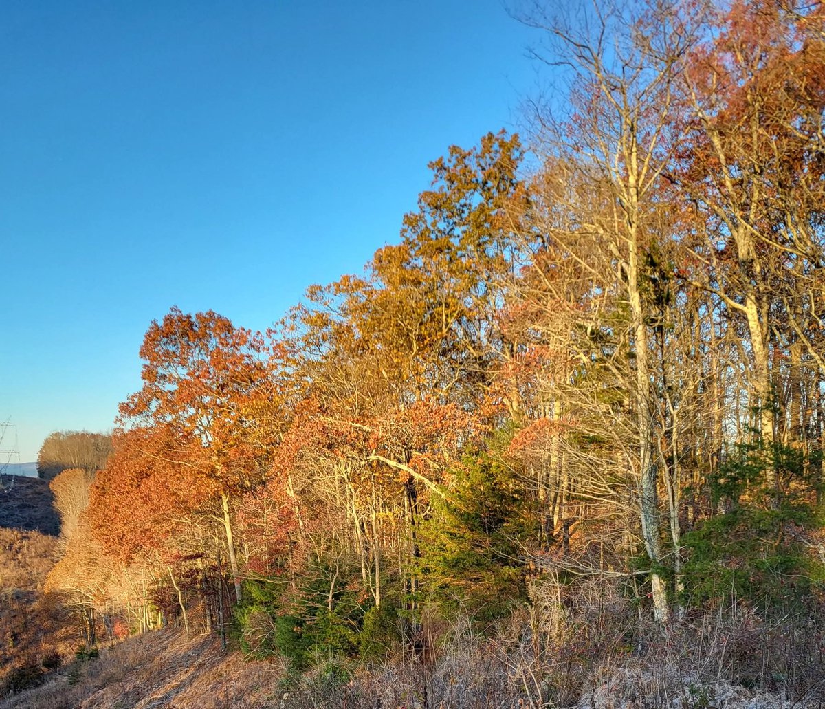 Cold morning in the 20's.  Still have some color on the trees.