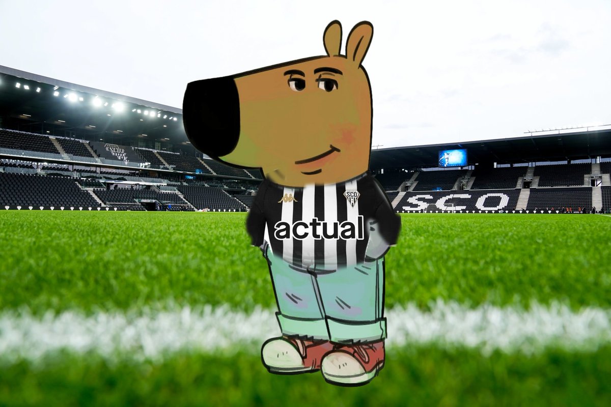 LeScoiste's tweet photo. Quand on te dit que tu es un mauvais supporter parce que tu ne vas pas aux séances dédicaces, mais ça va quand même, parce que t'es un chill guy. 👌🏼 https://t.co/mrVO01JoaH