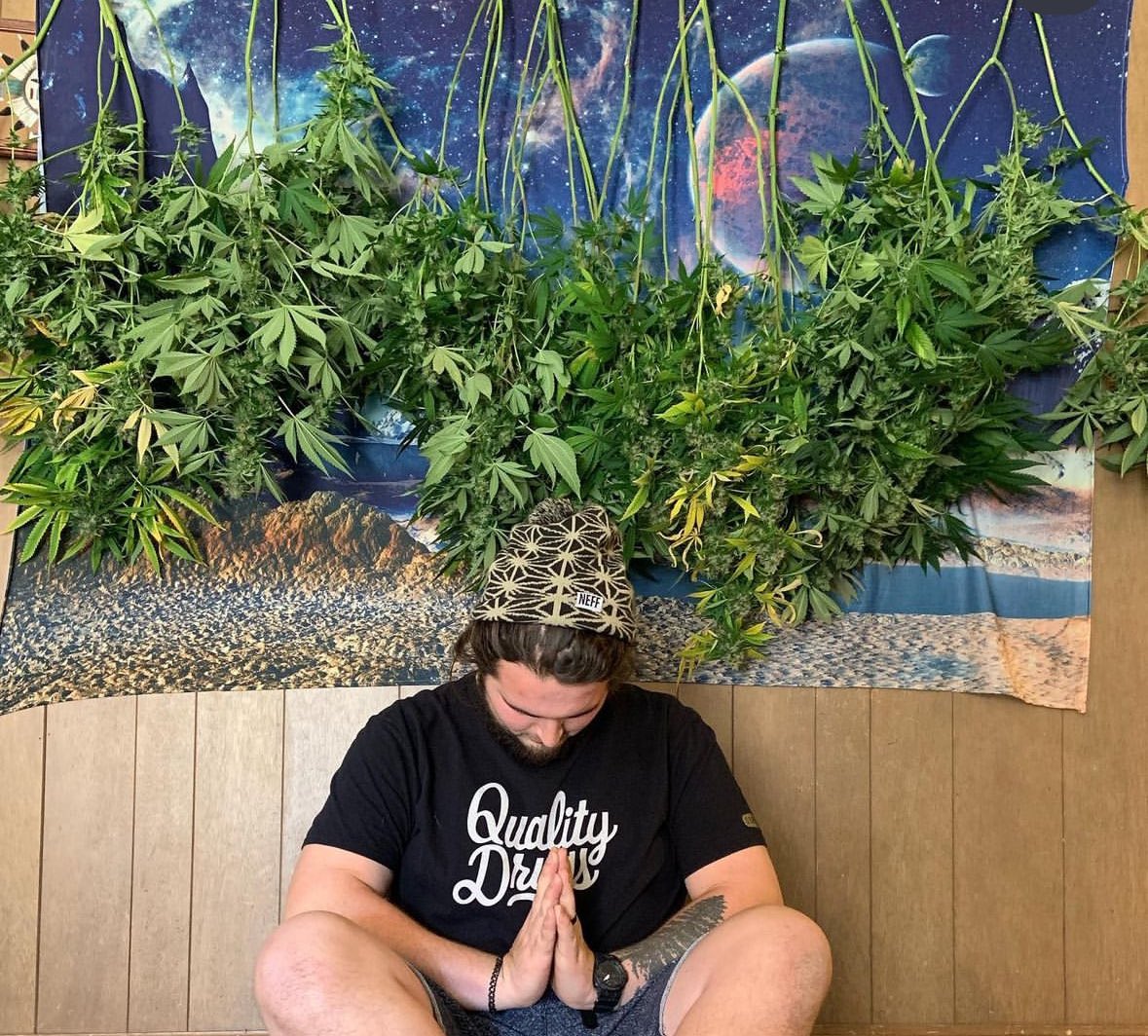 hash__daddy's tweet photo. Old home grow #growit https://t.co/yC6mTfkuSw