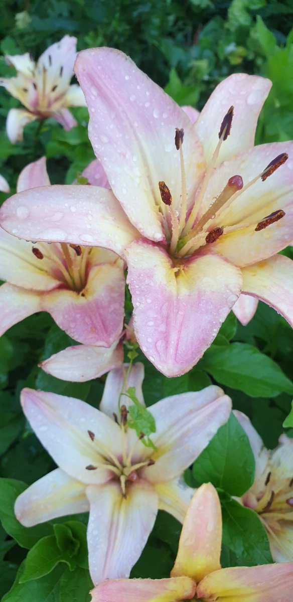 ...ладно  всем пока...девчулям...