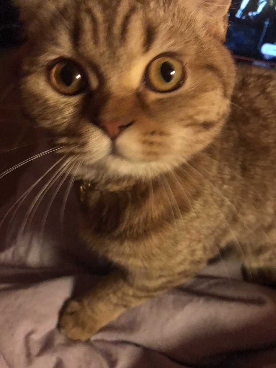 annm bensiz disari cikip beni evde ablmla tek birakacagini soyledigi zaman cok sinirleriyorum bu da o anlrdan biri. haksiz miyim