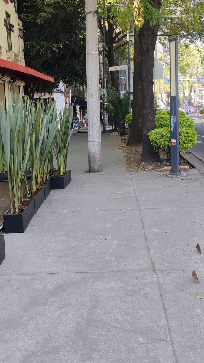 ReporterCondesa's tweet photo. Estimada .@AlessandraRdlv x fvr. recorra alcaldía sin sequito,vea la realidad,pq cuando saben q va a ir hacen “enchulamiento”en chats pusieron estas fotos,q intransigencia Alvaro Obregón 290 casi esq Huichiapan #yelpeaton #banquetapublica. .@erikayazminrg 
#impunidad #CORRUPCION https://t.co/6nshCLJIxD
