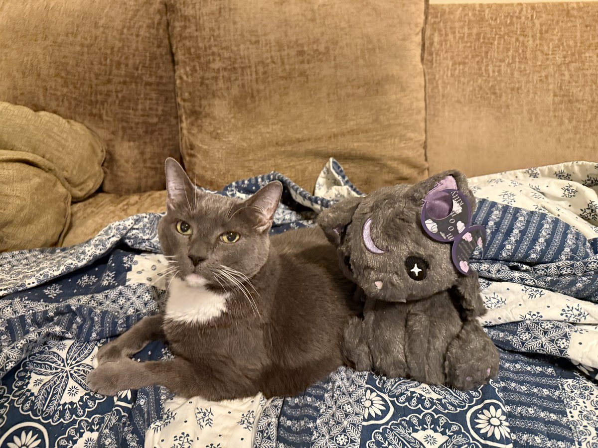 BoroGhor's tweet image. yayyy @happyufonet @OekakiConnect