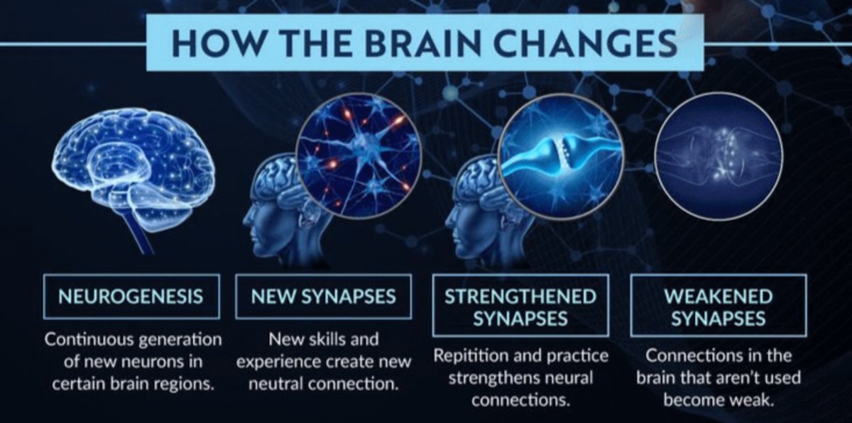 Tu cerebro tiene neuroplasticidad, ¡puede cambiar!

Incluso después de años de trauma, estrés y mal acondicionamiento.

Ahí es donde entran en juego las terapias basadas en la neurociencia: