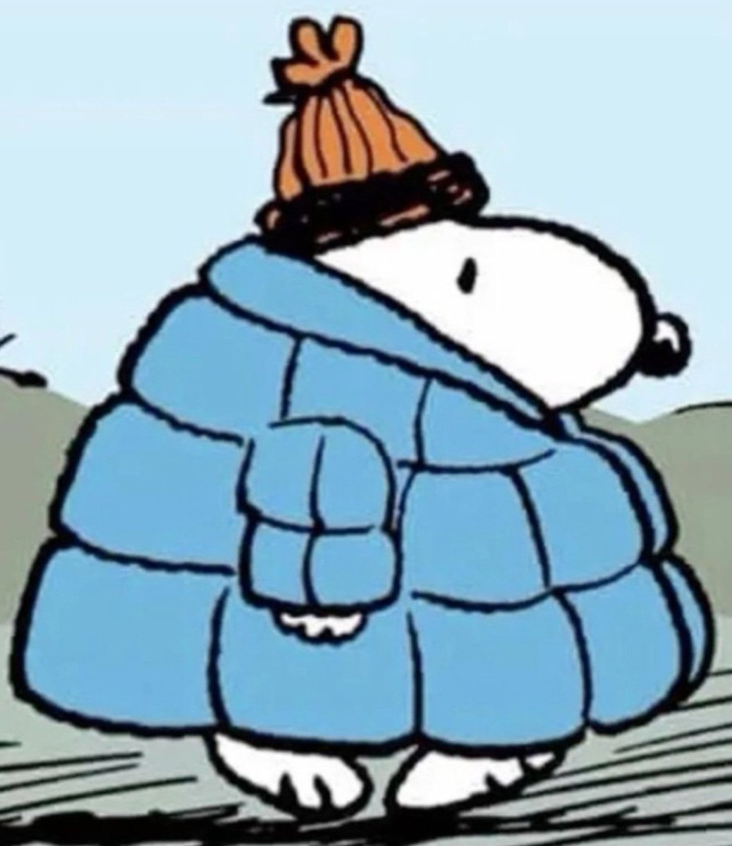 Snoopy (@snoopyphotos) on Twitter photo 