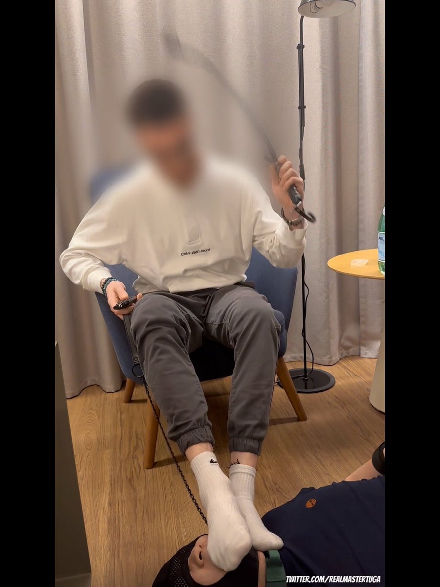 MasterTuga 🇵🇹 tweet media