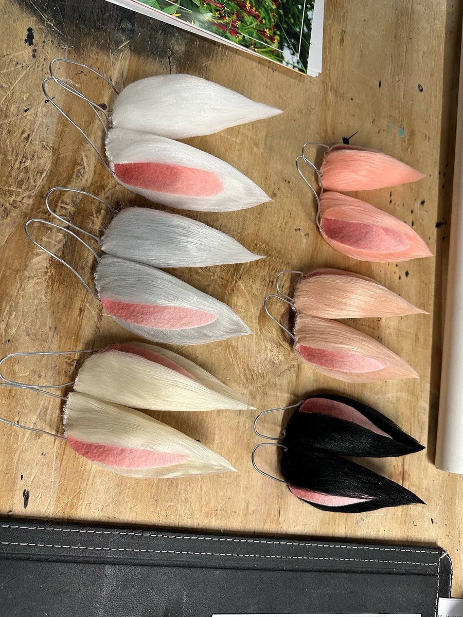 Turtle Smithy tweet media