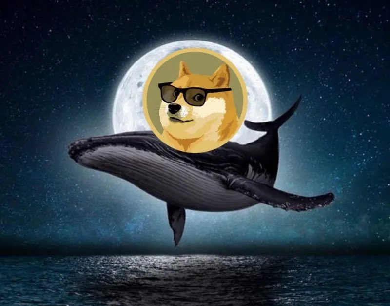 DogecoinRise's tweet image. Hello #Dogefam 🐕

Like &amp;amp; Retweet If You Want To Be A $DOGE Whale One Day 📈🐕🚀🌕

How Many #Dogecoin You Own?

#DogecoinRise #DOGE
