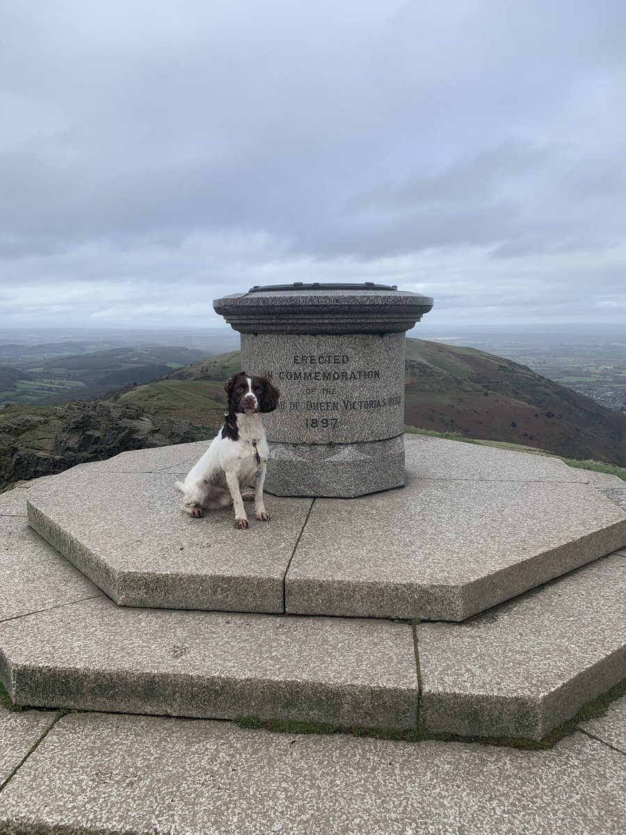 What else is there to do but take the boy to see the sights!