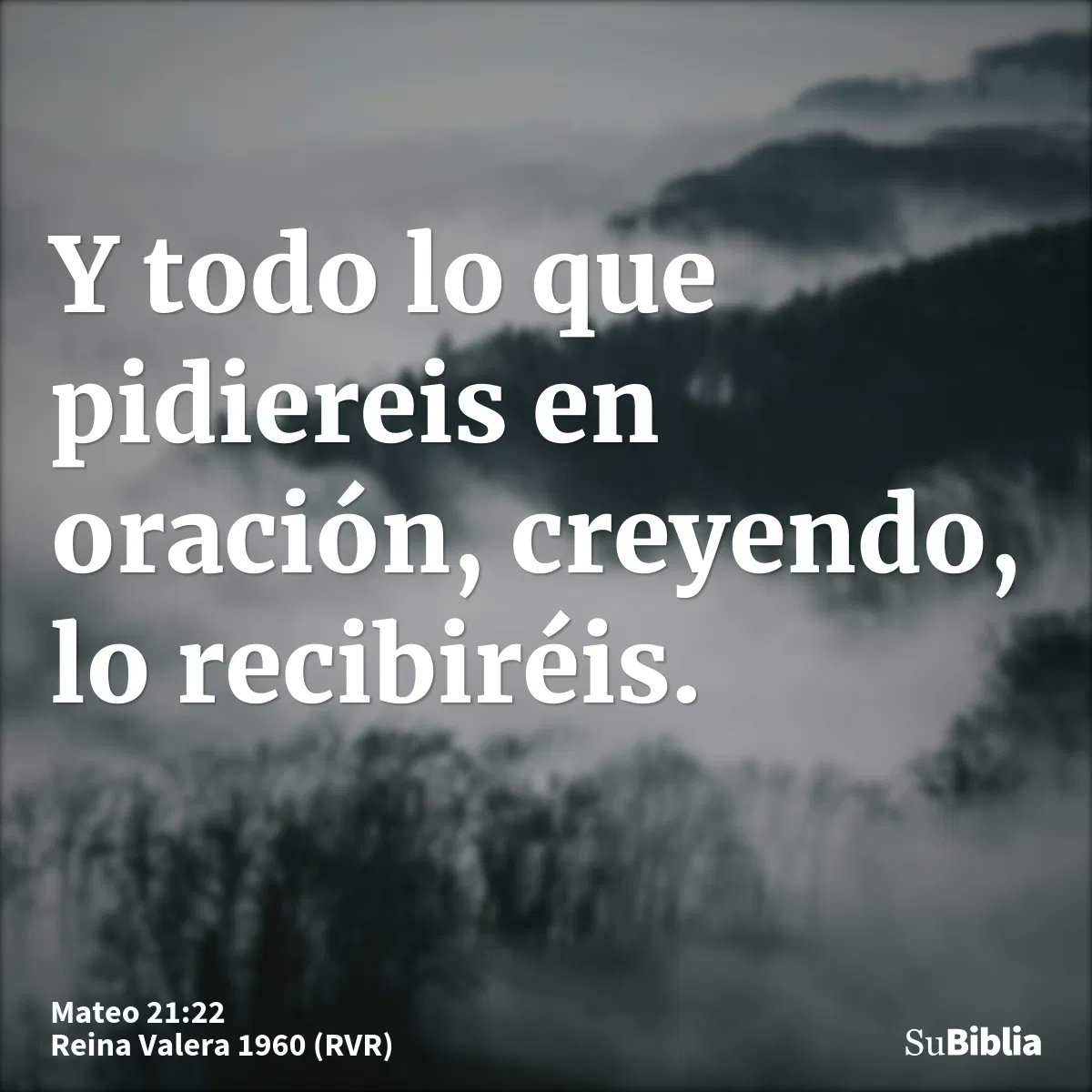YoSoyNeville's tweet photo. Y todo lo que pidiereis en oración, creyendo, lo recibiréis...

- Mateo 21:22

📷: SuBiblia