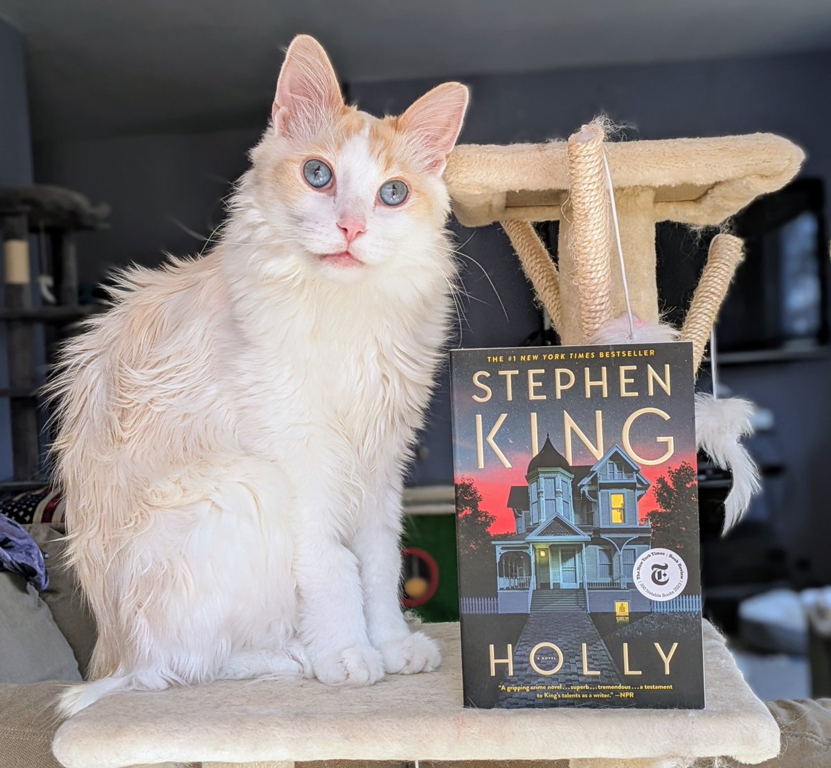 Tad Ottman (@unclet_bag) on Twitter photo We still celebrate the works of William Shakespeare, written more than 400 years ago. I believe in another 400 years, people will still be reading <a href="/StephenKing/">Stephen King</a>. Holly looks amazing, and Holly Gibney is a remarkable character. Can't wait to read! #CatsofTwitter We still celebrate the works of William Shakespeare, written more than 400 years ago. I believe in another 400 years, people will still be reading <a href="/StephenKing/">Stephen King</a>. Holly looks amazing, and Holly Gibney is a remarkable character. Can't wait to read! #CatsofTwitter