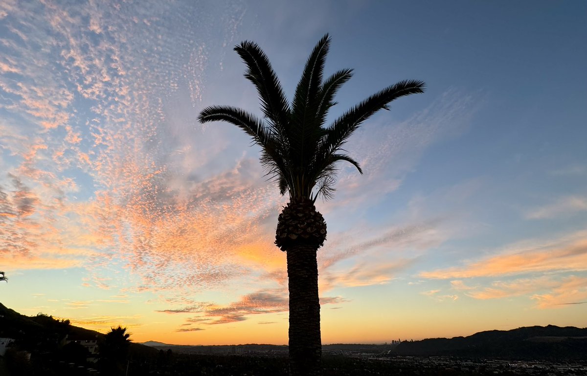 J. Tabibian, FACP, FASGE, FACG, AGAF (@tabibianmdphd) on Twitter photo Good morning to my Twitter friends around the 🌎
(photo taken today, 6:55 am, from the Verdugo 🏔️ with my iPhone 15– or maybe 14🤔— no filters)
<a href="/BMoshiree/">Baha Moshiree MD, MSci, FACG, AGAF</a> <a href="/DCharabaty/">Aline Charabaty, MD, FACG, AGAF</a>
<a href="/ls_mchandler/">Mark C. 🟦</a> <a href="/HayAghchig/">Lisa ♰ ֍</a> @JonsMarketingLA @doctressMiami <a href="/HarryTrieu/">Harry Trieu</a> <a href="/manischwitzmami/">Status Post Malone</a> @RIDICULO_pathy Good morning to my Twitter friends around the 🌎
(photo taken today, 6:55 am, from the Verdugo 🏔️ with my iPhone 15– or maybe 14🤔— no filters)
<a href="/BMoshiree/">Baha Moshiree MD, MSci, FACG, AGAF</a> <a href="/DCharabaty/">Aline Charabaty, MD, FACG, AGAF</a>
<a href="/ls_mchandler/">Mark C. 🟦</a> <a href="/HayAghchig/">Lisa ♰ ֍</a> @JonsMarketingLA @doctressMiami <a href="/HarryTrieu/">Harry Trieu</a> <a href="/manischwitzmami/">Status Post Malone</a> @RIDICULO_pathy