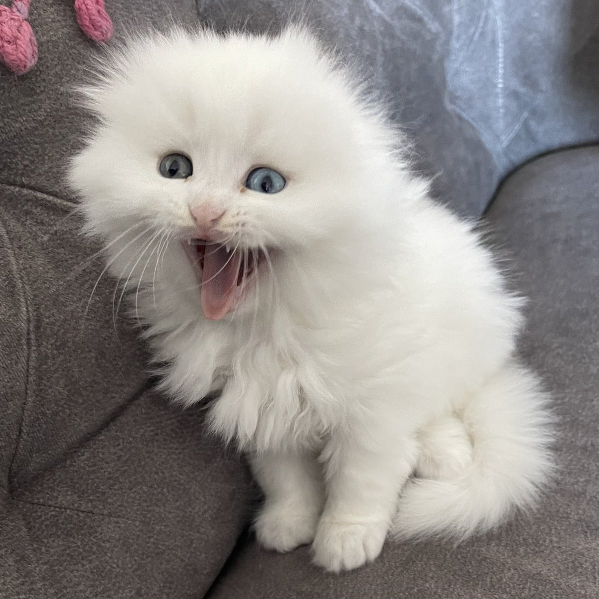 - ne yaptın bugün 
+ kime ?