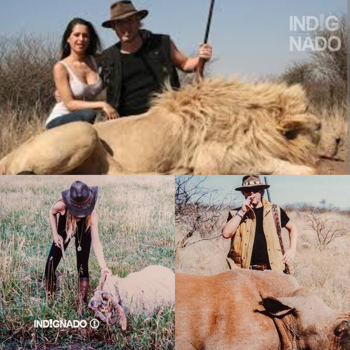 indignadoxd's tweet photo. MÁXIMA DIFUSIÓN!! Garfunkel y Vanucci son dos mierdas que se divertían asesinando a animales drogados. Ambos son peligrosos y tóxicos para el mundo. Nunca dejemos de compartir estas fotos. 🔥🤬👊🏻 https://t.co/CRgCjvsCmK
