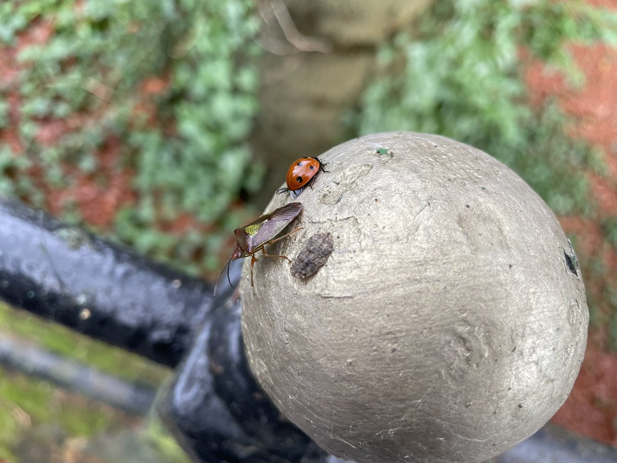 Tom Hibbert tweet media