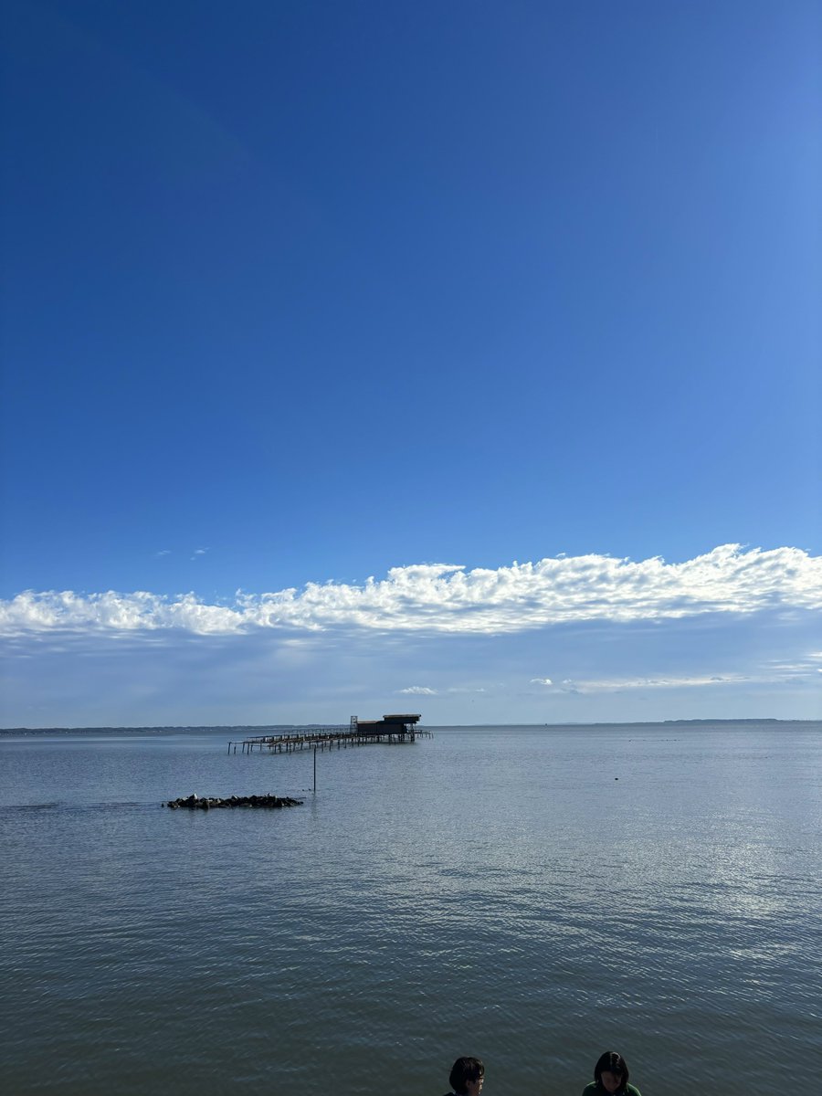 Robert Moise tweet media