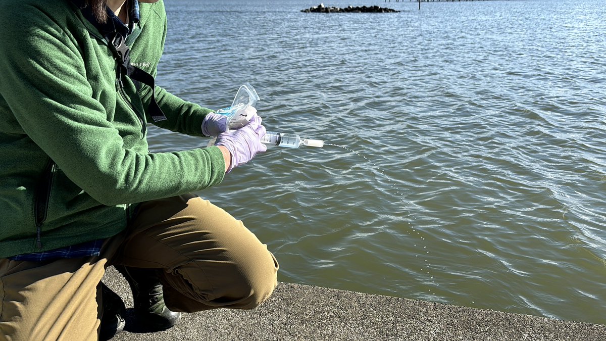 Robert Moise tweet media