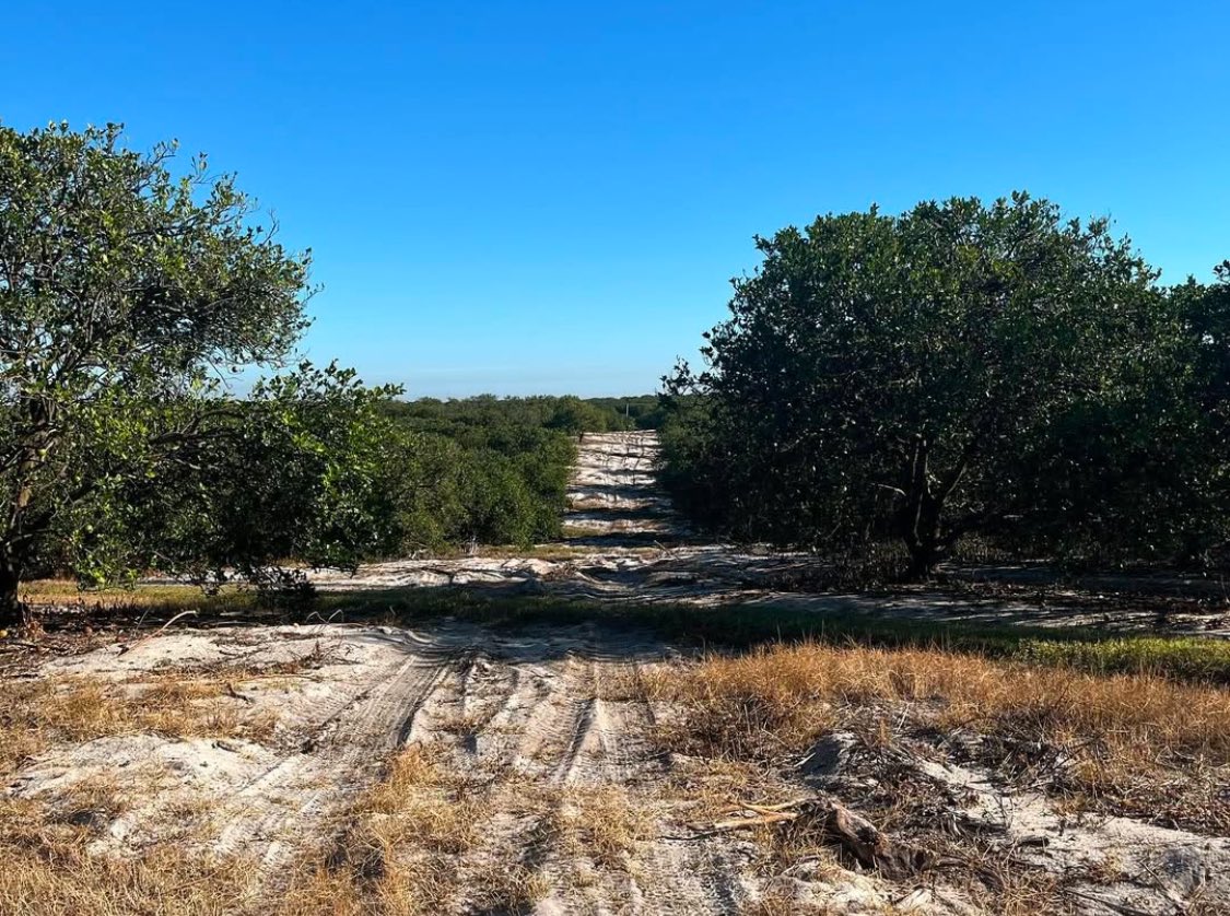 LaBarGolf's tweet photo. Work is underway at our new construction project in Venus, Florida - High Grove Golf Club - with Hanse Golf Course Design. Itβs going to be a special place. #HighGrove #LaBarGolf #GilHanse #HanseGolf https://t.co/nsgGgnZPGd