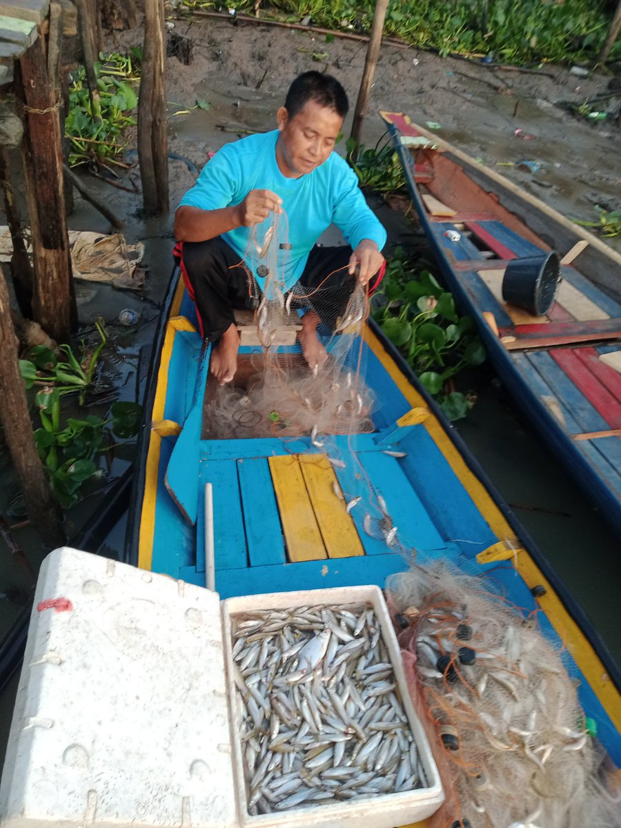 Senin (28/10)Luhkan Kab.Banyuasin Wasahla, S.Pi. Kub cahaya malam Kel.mariana Ilir hasil tangkap sungai ikan rucah bpk Saman sebanyak 20 kg dg harga Rp.20.000/kg.
#GiatLuhkanBRPPUPPPalembang
#luhlapor 
#tangkap
#Banyuasin
<a href="/bppsdm_brppupp/">BRPPUPP Palembang</a>