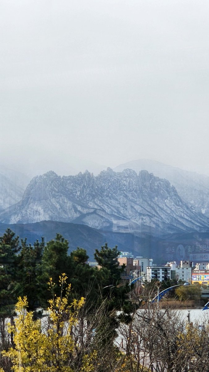 청초호 카페에서 바라본 울산바위...
어디서 보든 멋지네요.~~