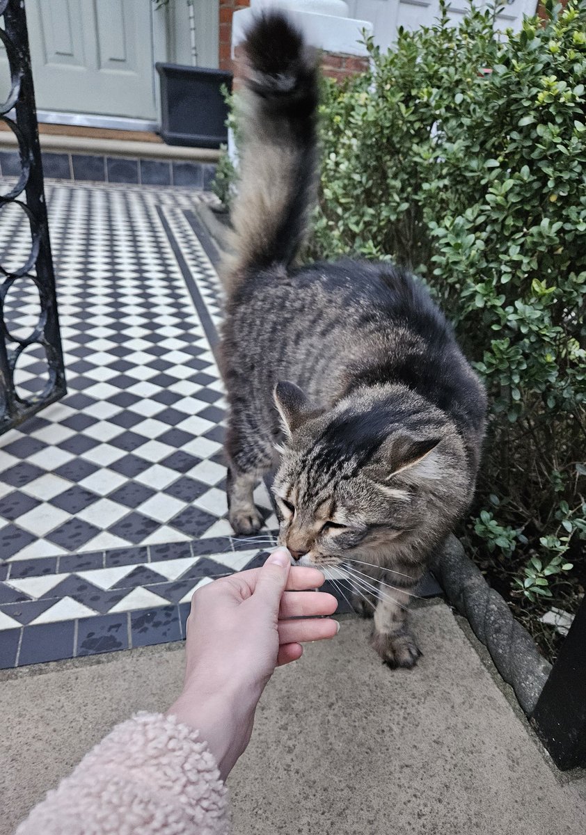 peachyVlkl's tweet photo. https://t.co/Jfz6T7ozyI