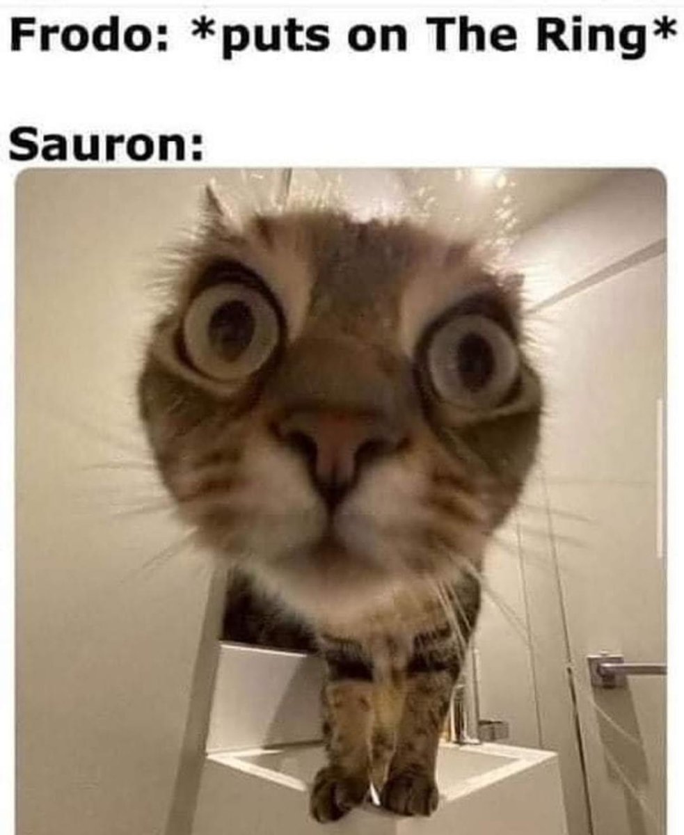 Lord of the Rings Memes tweet media