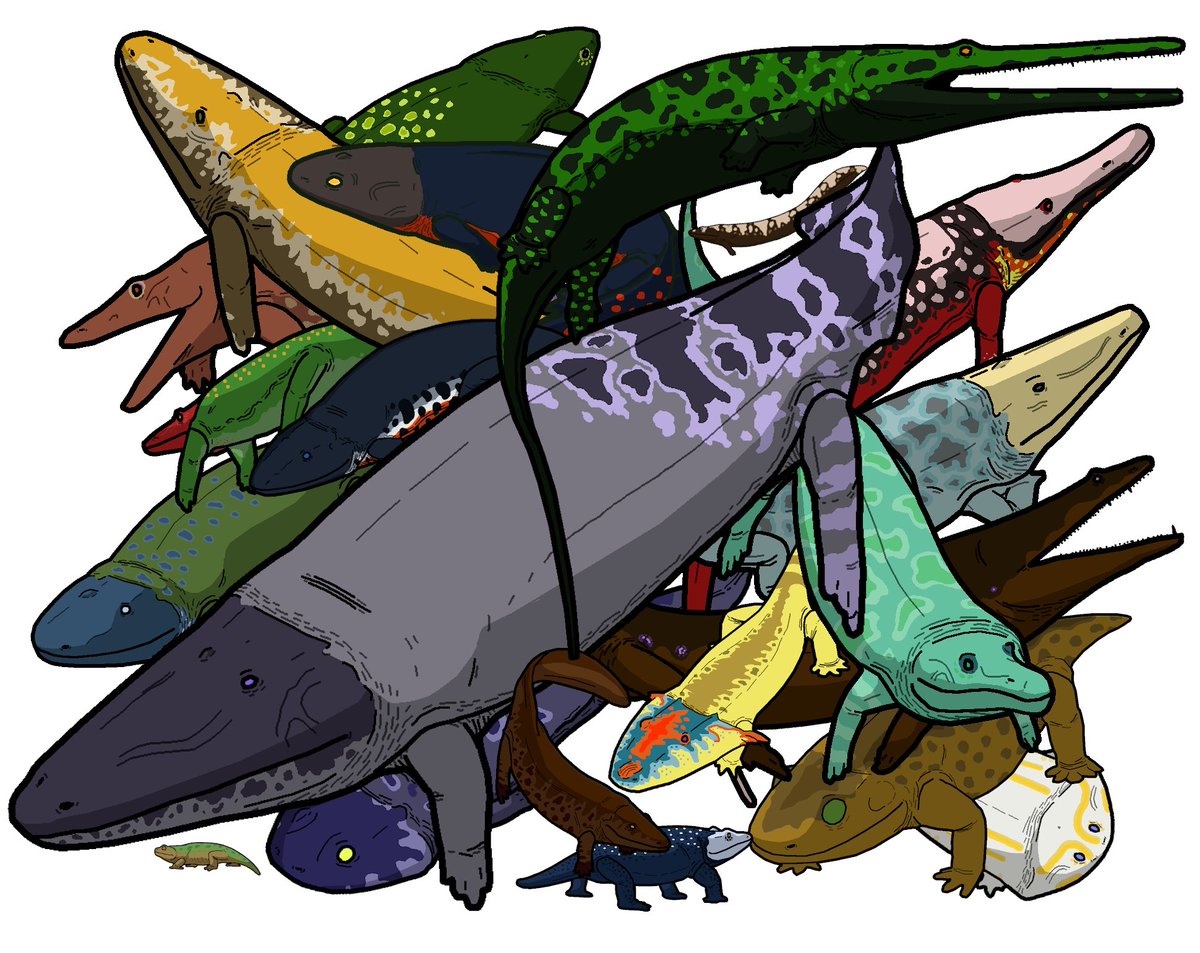 BatmanelVisigodo tweet media