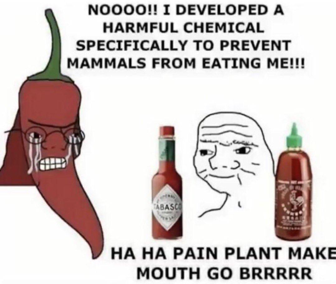 no context memes tweet media