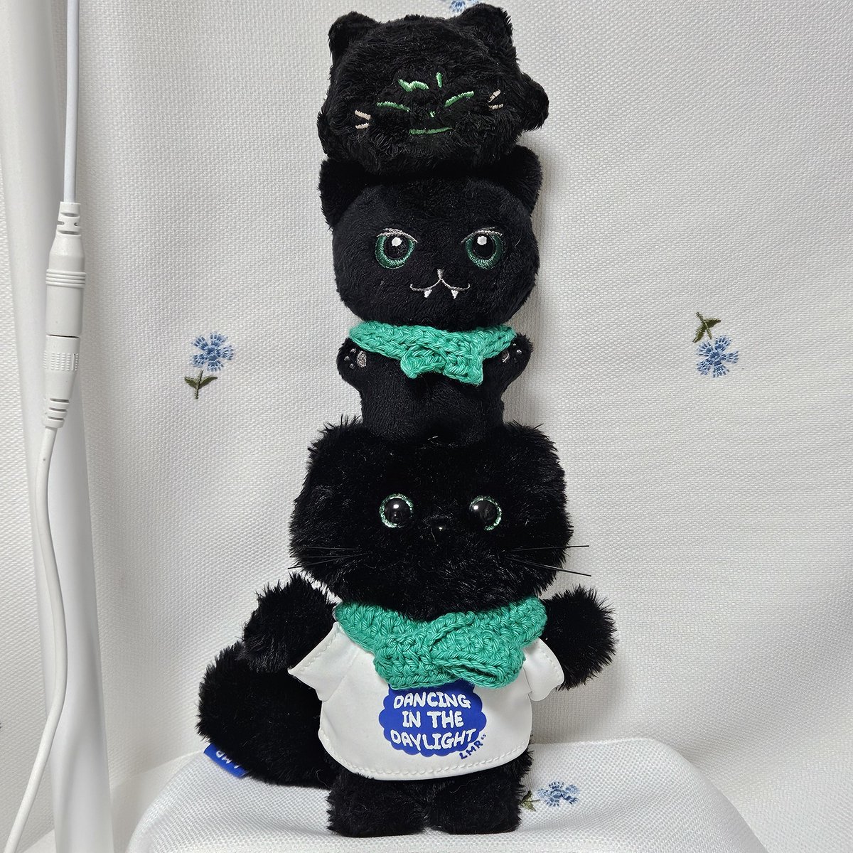 깜고들 모아 놓으니까 커여움이 3배💚