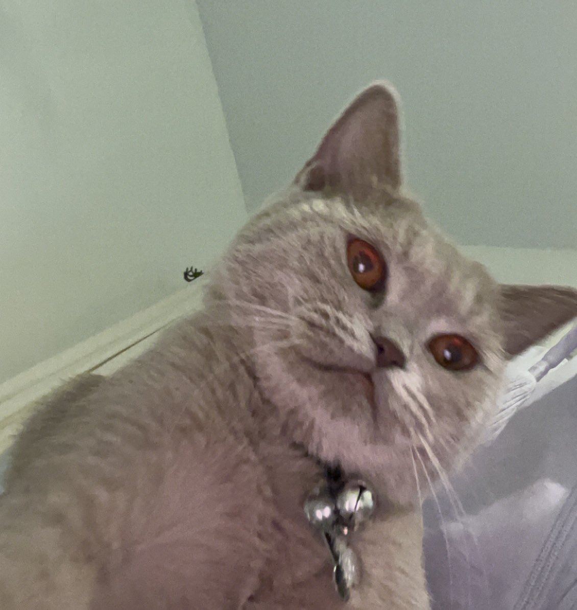 ta74l's tweet image. لا فقدتيني وبكاك الحنين
ابعدي عنك الظنون الواهمه
كفكفي دمعك ترا دمعك ثمين
كل شي الا دموعك فاهمه

أقصد لونا 🥺😂