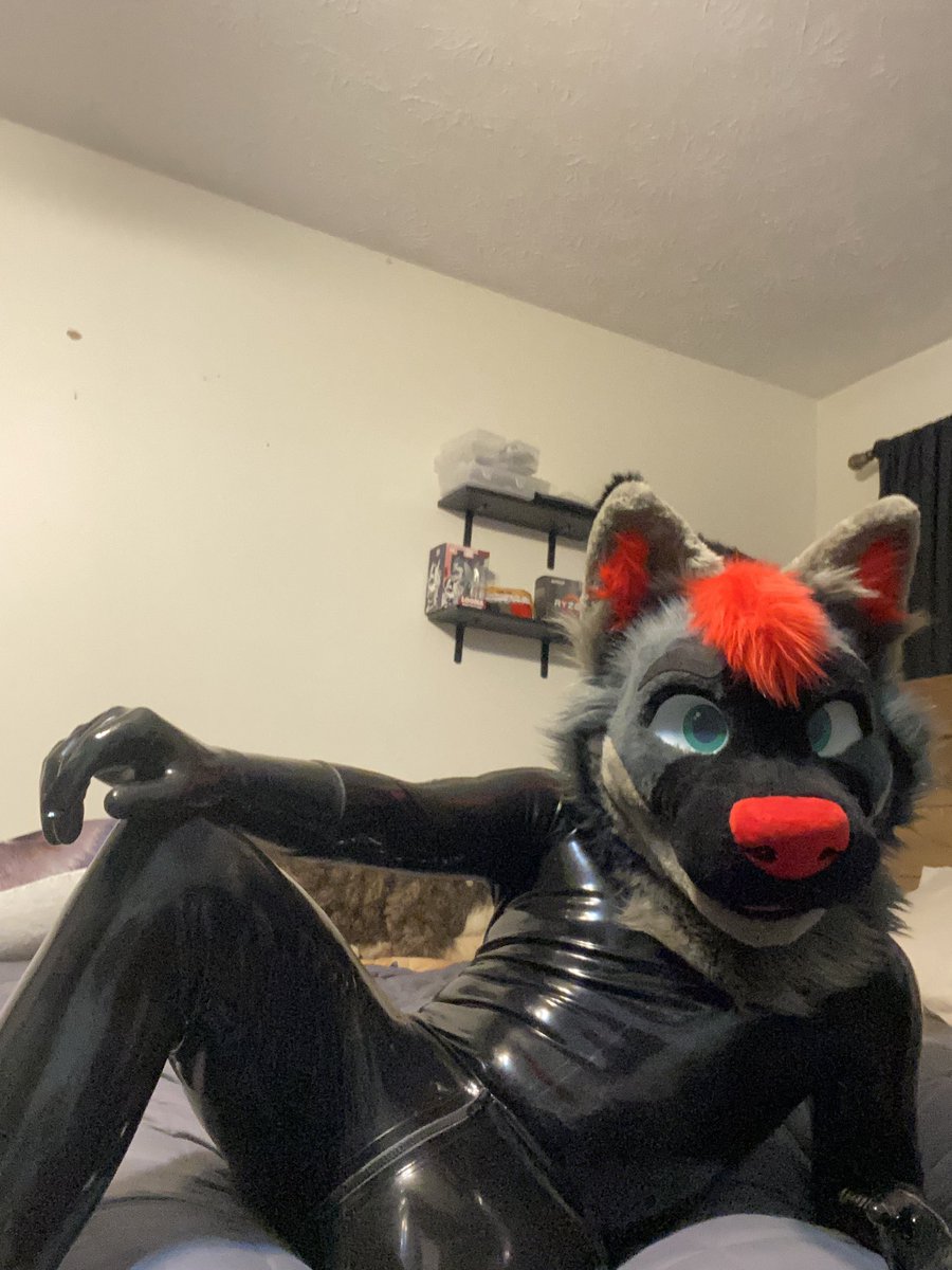 Card 🐺✨🔜 FWA26 tweet media