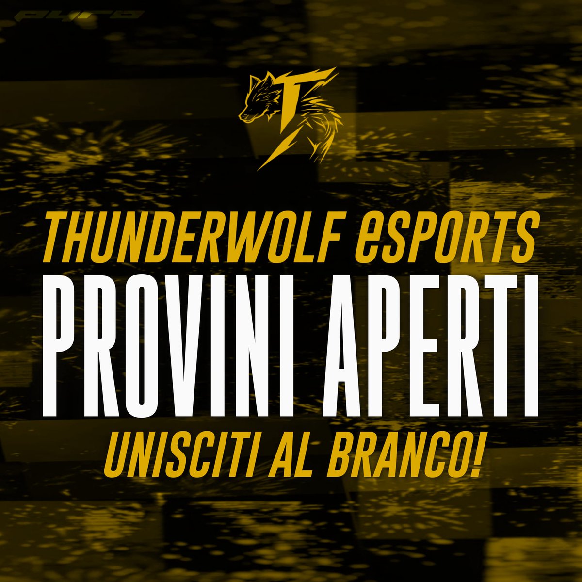 wolf94_esports's tweet photo. ⚡ThunderWolf fc ⚡ cercano le seguenti posizioni per competizione ufficiale:

🧱 POR 🧱

🧱 TS/TD 🧱

🧱 DC 🧱

⚽ ATT ⚽

⚡ DISPONIBLITÀ DAL LUNEDI AL GIOVEDI! ⚡

@pctransfermarkt 
@RTProClubsITA 
@MERCATO_PROCLUB 
@NewsProclub 
@Freeagent_PS https://t.co/jREwQ6AW1o