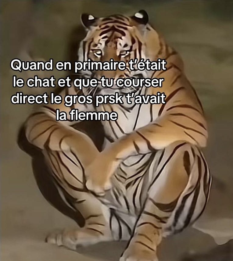 _IDVL's tweet photo. Peut être que je suis en train de pleurer de rire on sait pas https://t.co/FH1GFC96mu