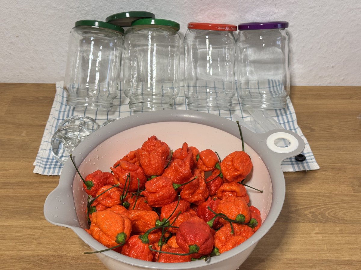 𝔐𝔯.ℜ𝔢𝔡 🌶️ tweet media