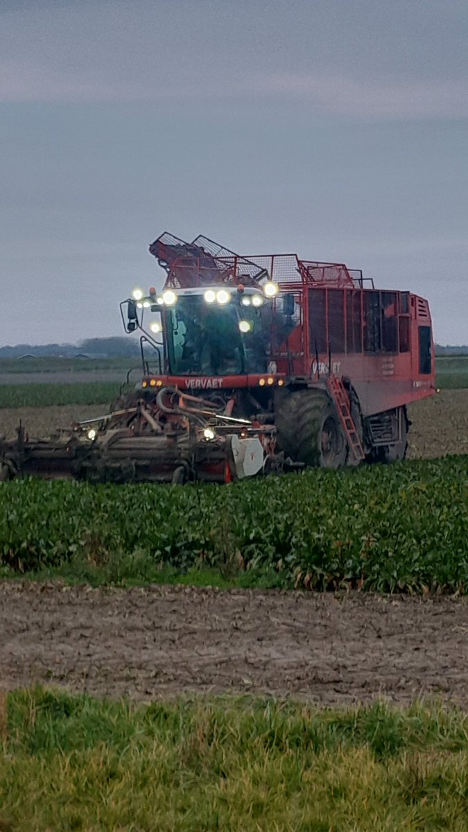 Weer blokje peeën der uut fietse en tarwe er in vliege