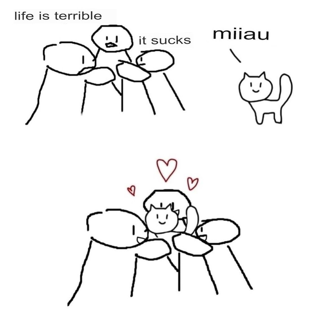 Catsillyness's tweet photo. miiau https://t.co/v5fEpVeVRa