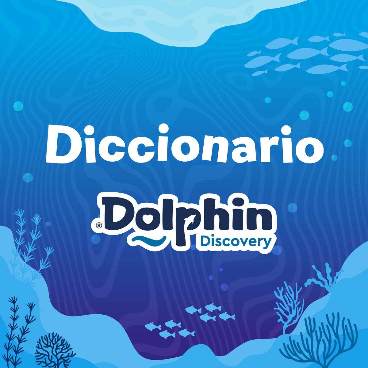 Dolphin Discovery tweet media