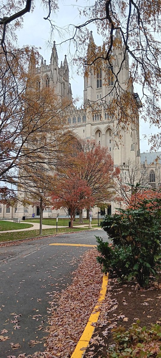 Chris Bracegirdle tweet media