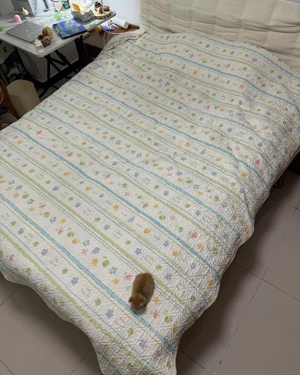 Why you should have a cat (@shouldhavecat) on Twitter photo 